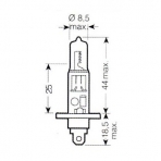 Halogenlampe H1 12V/55W